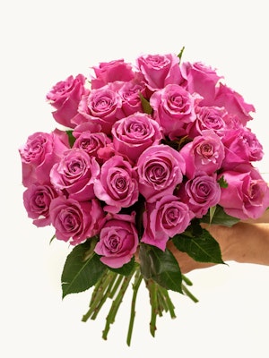A vibrant bouquet of pink roses held gracefully, perfect for special celebrations.