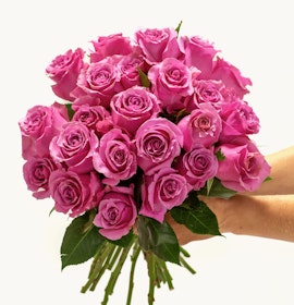 A vibrant bouquet of pink roses held gracefully, perfect for special celebrations.