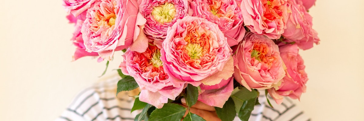A vibrant bouquet of pink roses held in front of a person, exuding charm and beauty.