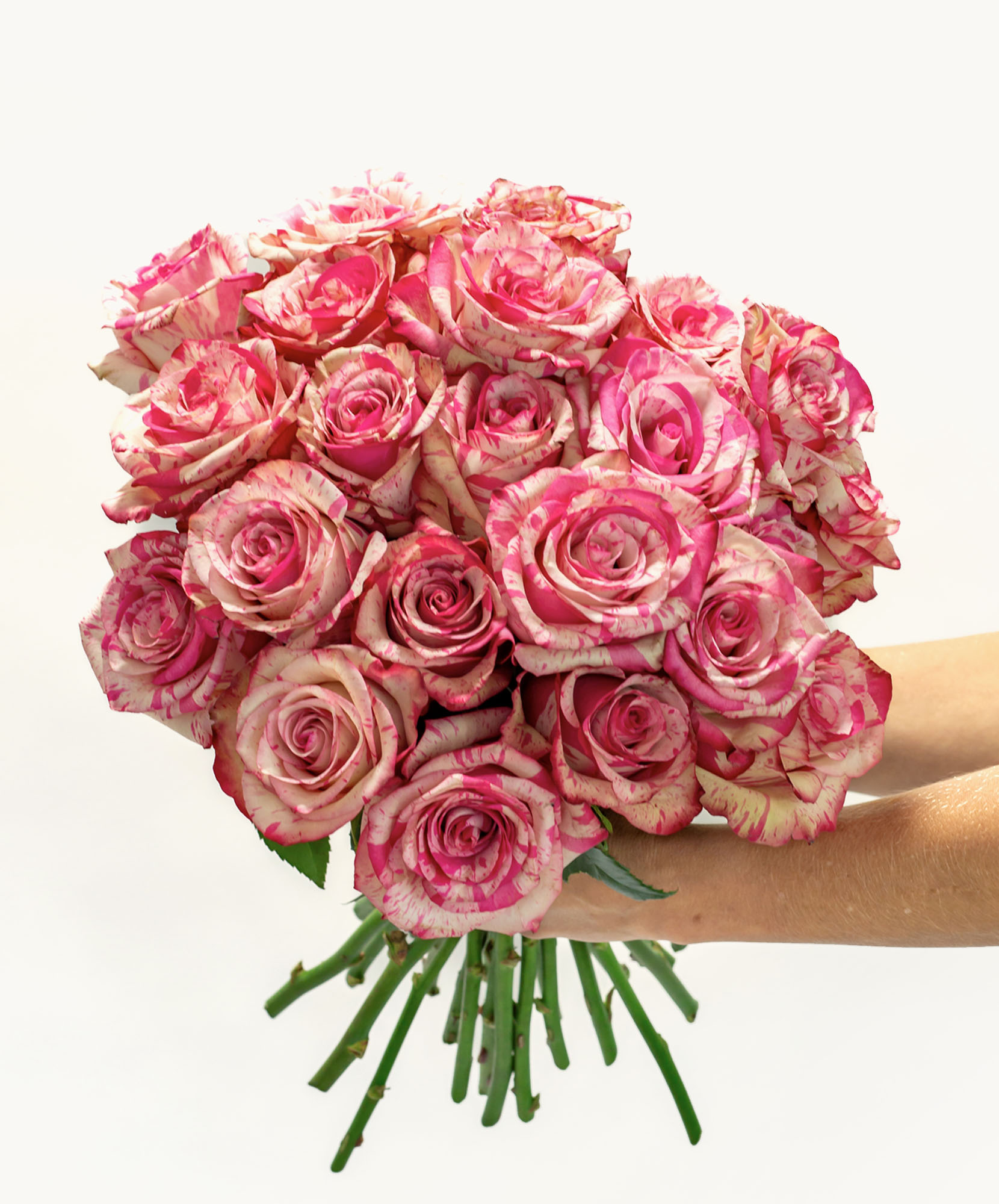 A stunning bouquet of pink and cream roses with delicate striped petals, perfect for gifting.