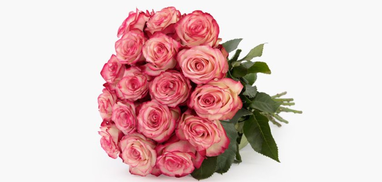 A beautiful bouquet of blush and pink roses, perfect for romantic gifts and celebrations.