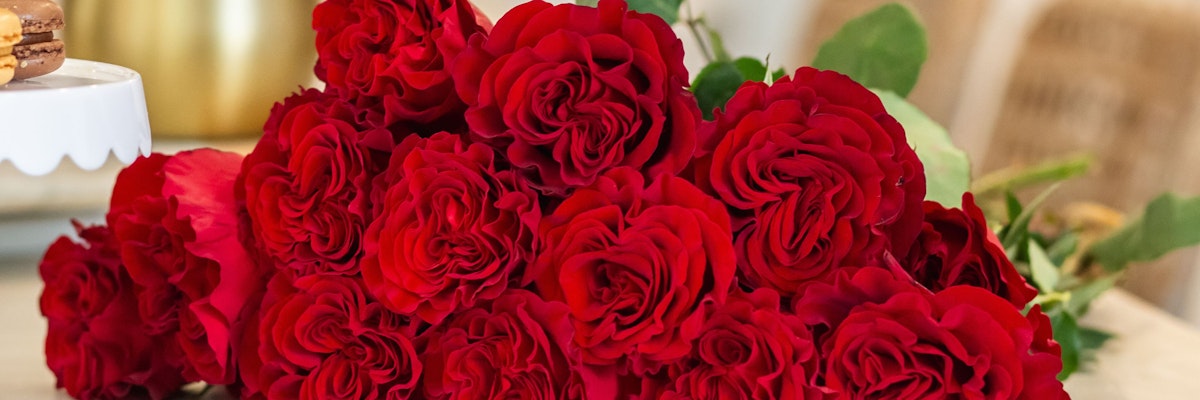 Vibrant red roses elegantly arranged, perfect for expressing love and admiration.