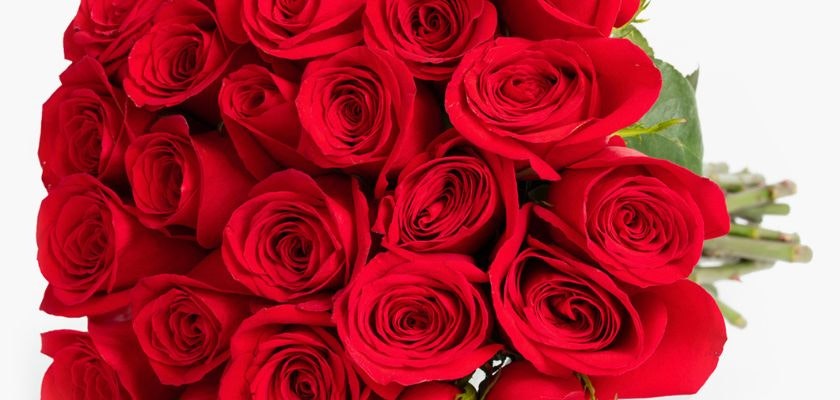 Vibrant red roses arranged in a stunning bouquet, perfect for romantic occasions.