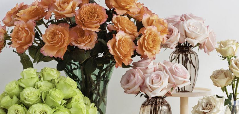 A vibrant selection of roses in various hues, beautifully arranged for floral elegance.