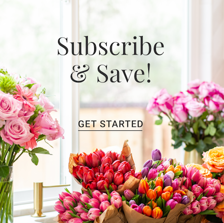 Colorful flower arrangements with tulips and roses inviting subscriptions and savings.