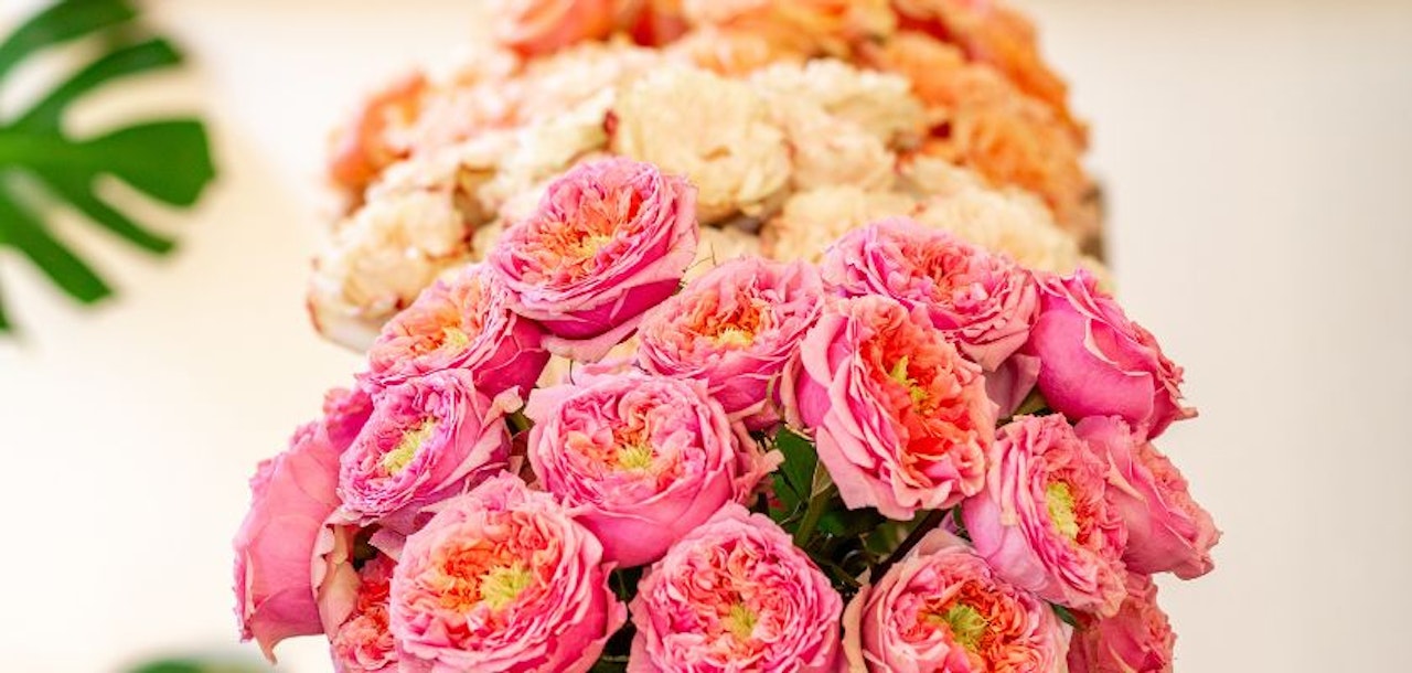 Vibrant pink and peach roses elegantly arranged in a beautiful floral display.
