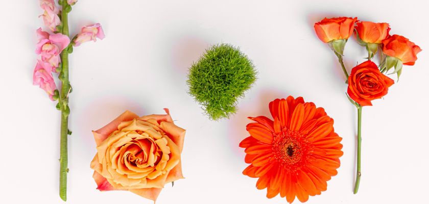 Vibrant floral arrangement featuring orange roses, gerbera daisies, and snapdragons.
