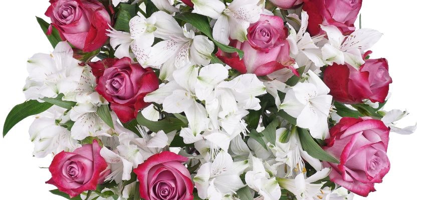 Vibrant bouquet of red and pink roses paired with elegant white alstroemeria flowers.