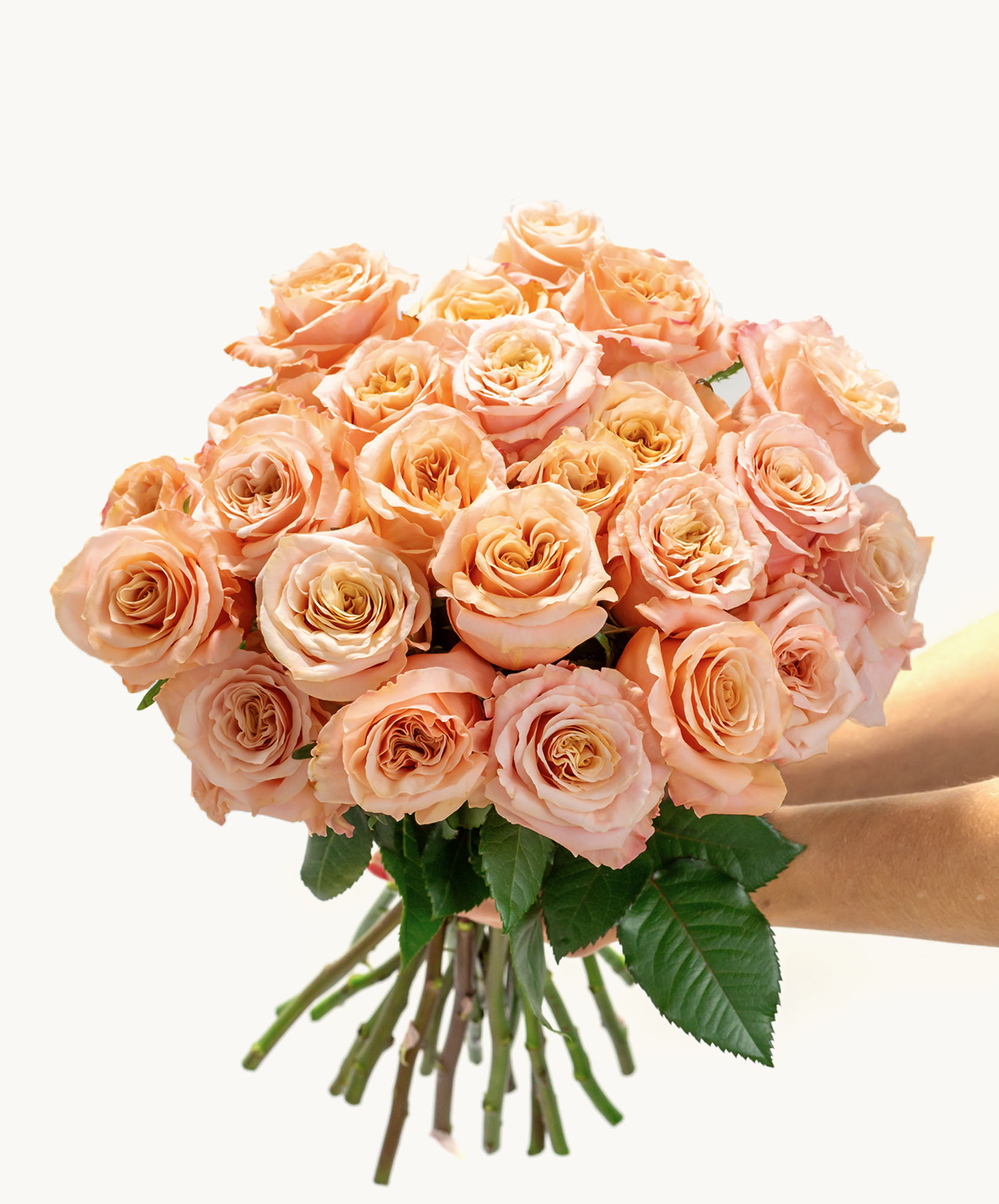 A stunning bouquet of peach roses, elegantly held with vibrant greenery, perfect for celebrations.