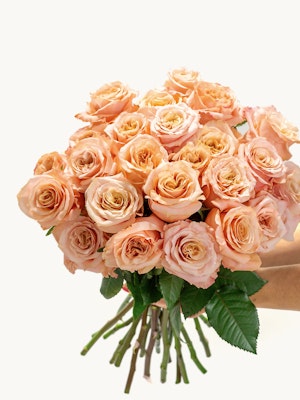 A stunning bouquet of peach roses, elegantly held with vibrant greenery, perfect for celebrations.
