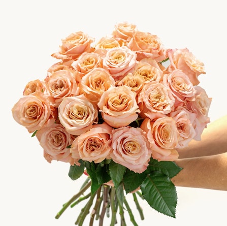 A stunning bouquet of peach roses, elegantly held with vibrant greenery, perfect for celebrations.