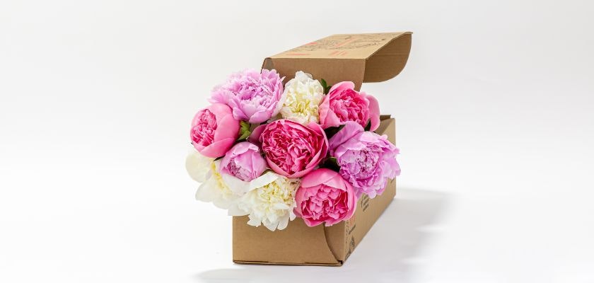 A beautiful bouquet of pink peonies and white blooms packaged in a stylish box.