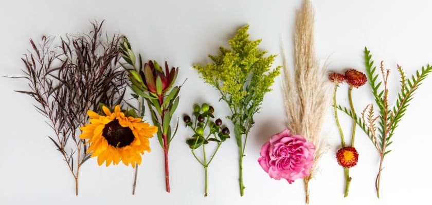 A vibrant collection of dried flowers and greenery, perfect for crafting and décor.
