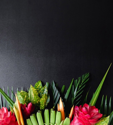 Vibrant tropical floral arrangement with greens and pink blooms against a dark background.