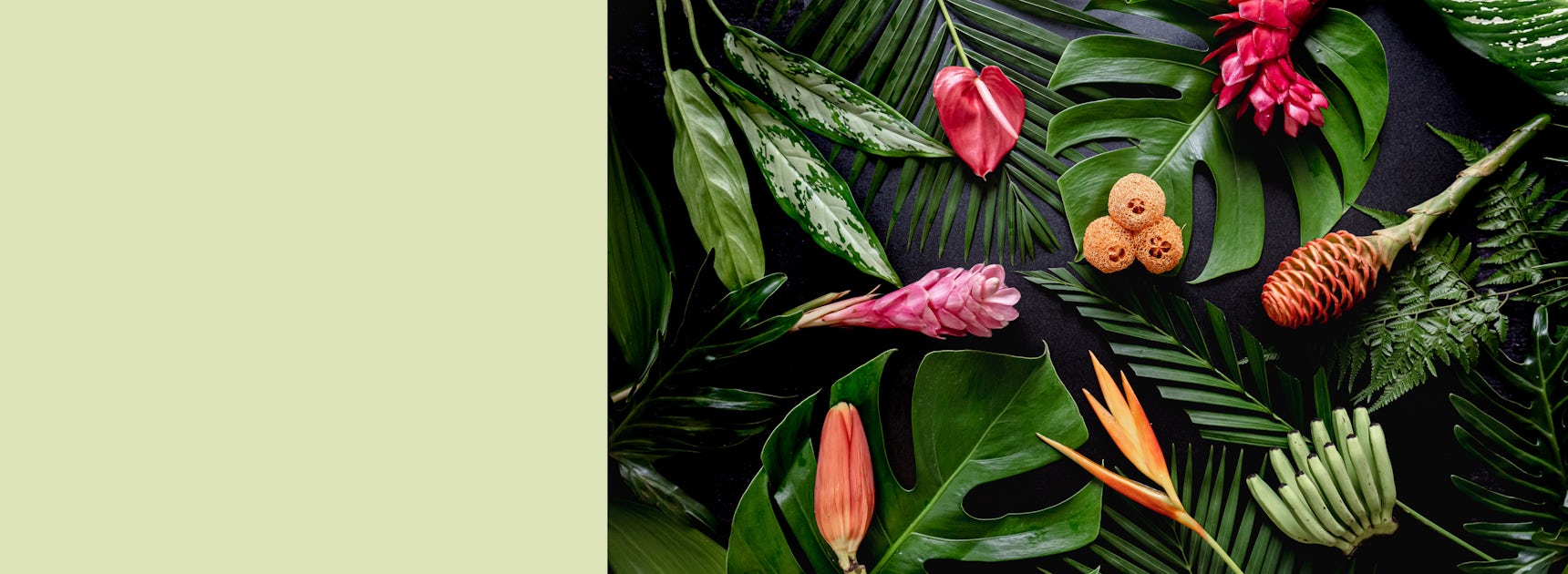 Tropical foliage arrangement with vibrant flowers and exotic plants on a dark background.