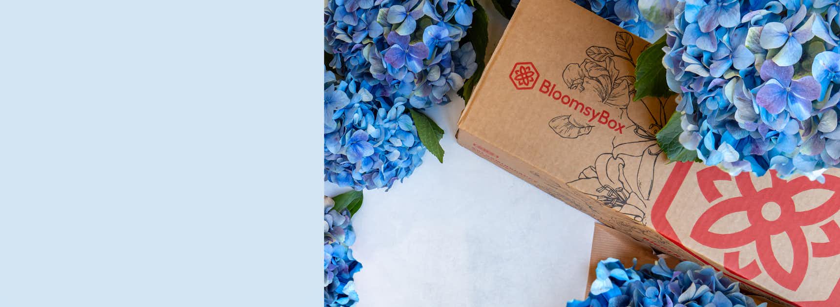 Beautiful blue hydrangeas surrounding a BloomsyBox delivery package, ready for gifting.