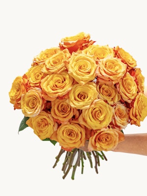 Vibrant bouquet of orange and yellow roses, perfect for cheerful celebrations and gifting.