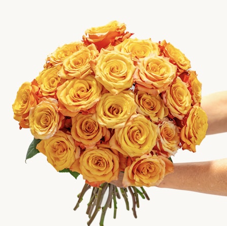 Vibrant bouquet of orange and yellow roses, perfect for cheerful celebrations and gifting.