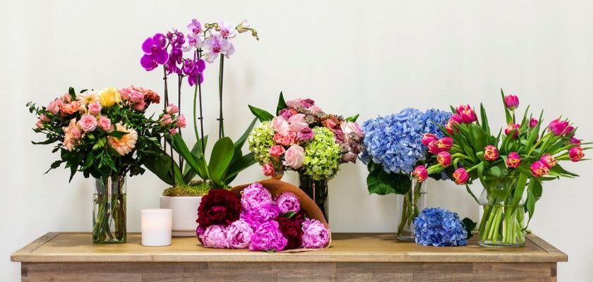 A vibrant floral display featuring roses, orchids, tulips, hydrangeas, and peonies in elegant vases.