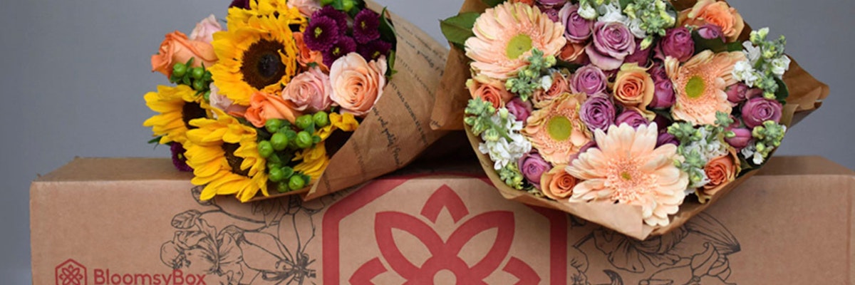 Vibrant floral bouquets featuring sunflowers, roses, and gerbera daisies in stylish packaging.