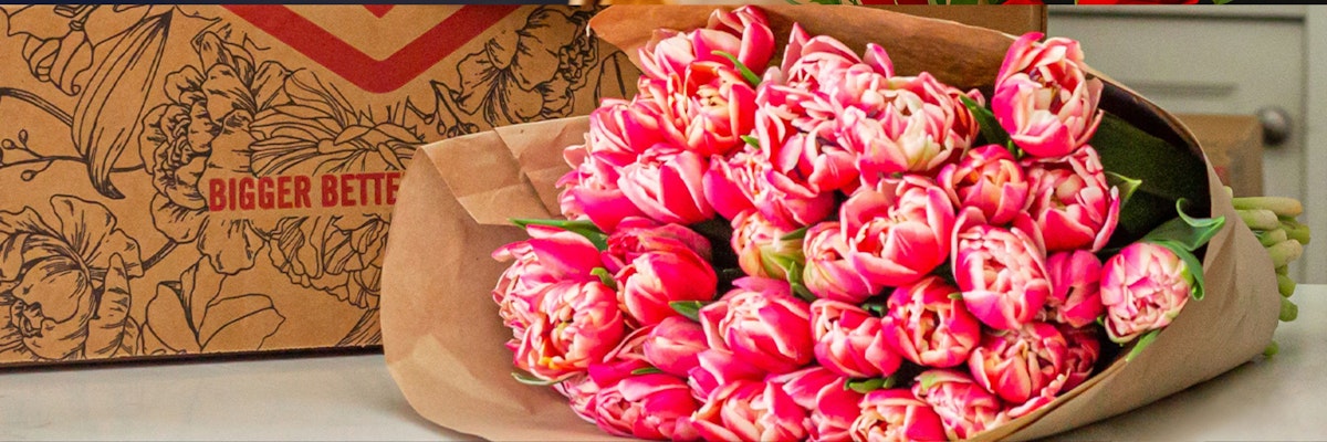 Vibrant pink tulips arranged in an elegant bouquet, perfect for any celebration.