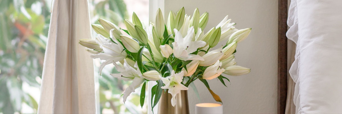 Elegant white lilies arranged in a modern vase, brightening a cozy indoor space.
