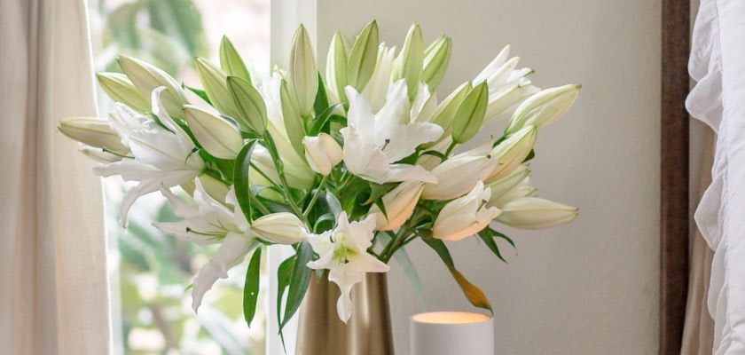 Elegant bouquet of white lilies in a sleek vase, enhancing any home decor.