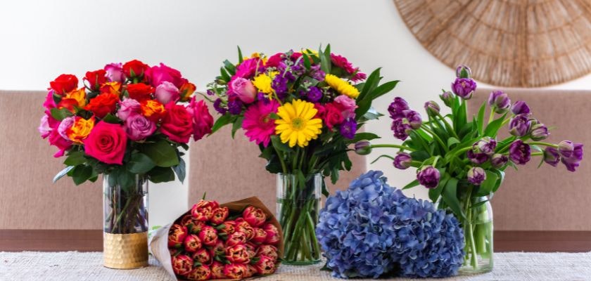 Vibrant floral arrangements featuring red roses, colorful tulips, and cheerful daisies.