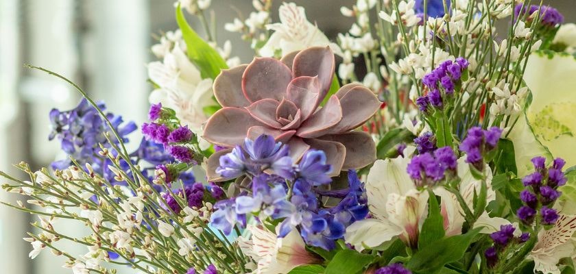 Vibrant floral arrangement featuring purple blooms and succulents in a beautiful display.