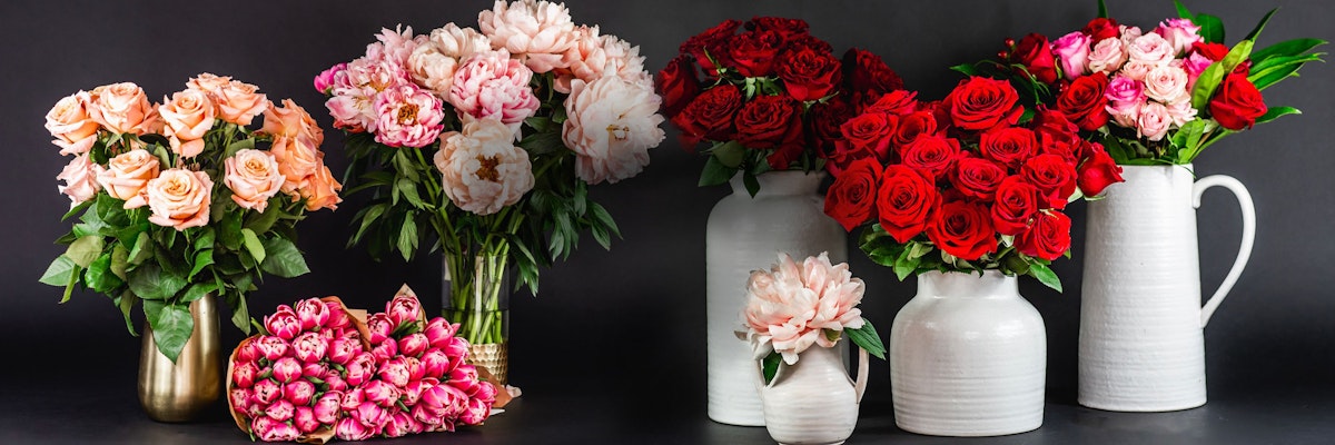 Vibrant display of red and pink roses in elegant vases and bouquets, perfect for celebrations.
