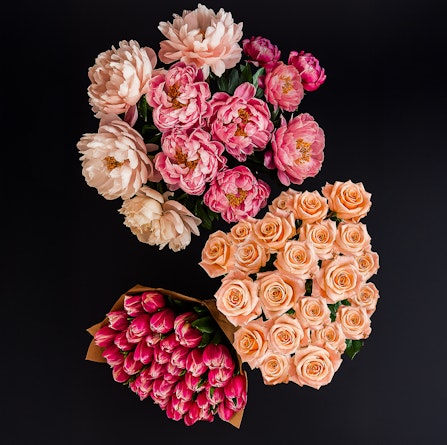 Beautifully arranged flowers featuring peonies and pink roses on a dark background.