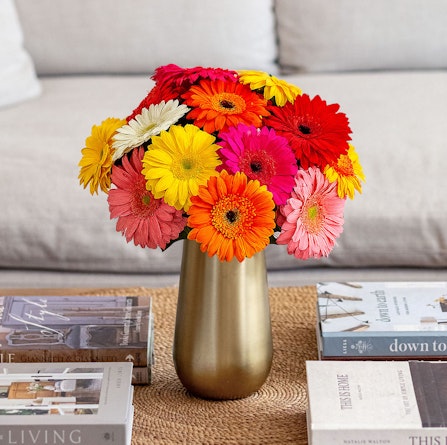 Vibrant mixed gerbera daisy bouquet in a gold vase, brightening up any space.