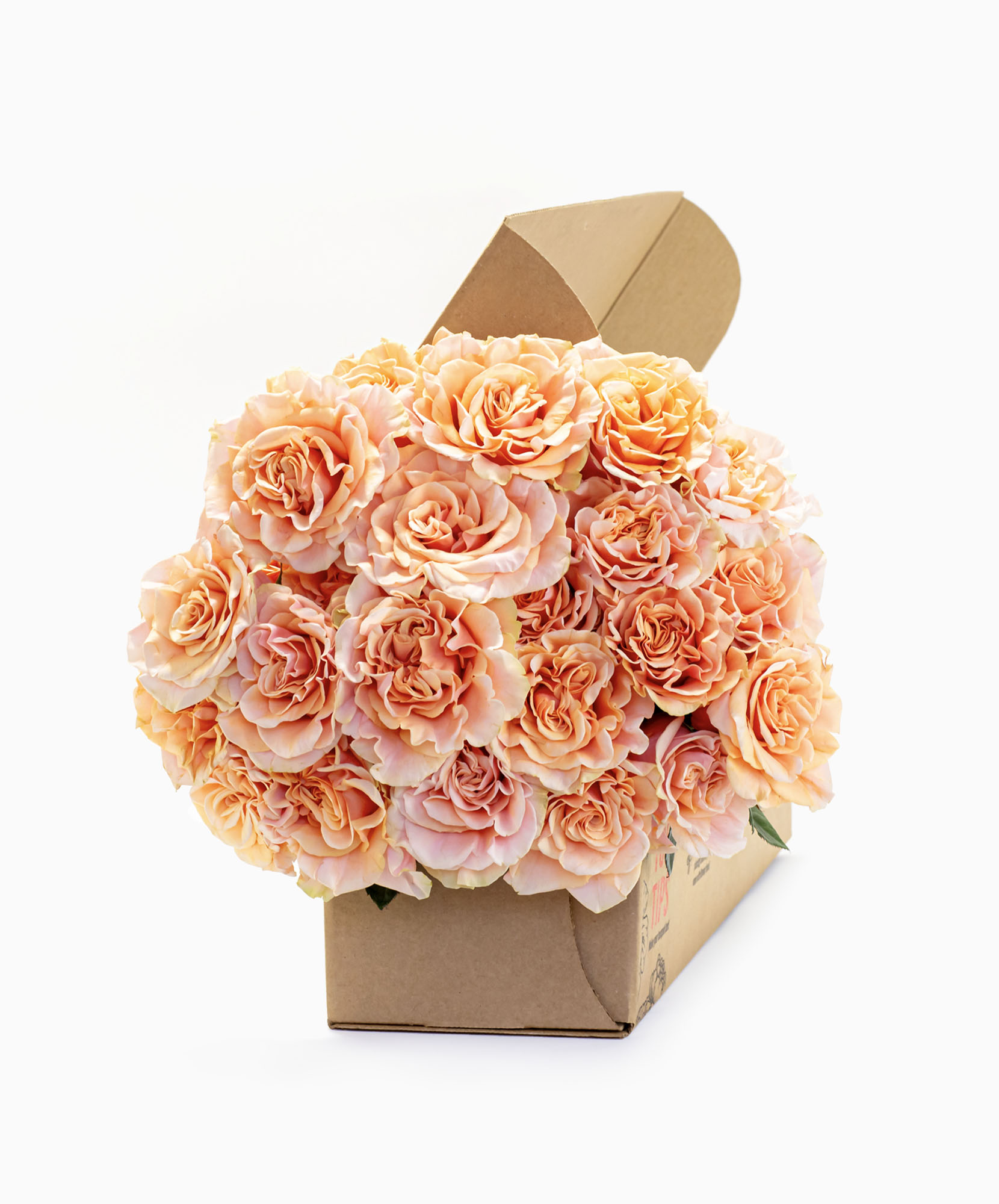 Phoenix Rose–Fiery Long-Stemmed Elegance | BloomsyBox