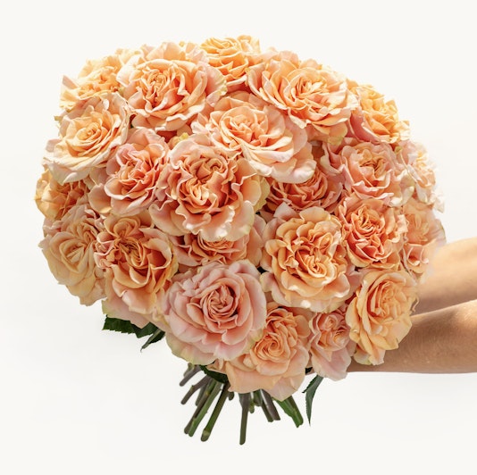 Delicate peach roses in a lush bouquet, perfect for celebrating special moments.