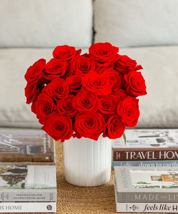Vibrant red rose bouquet in a white vase, surrounded by stylish books on a cozy table.