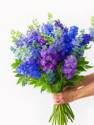 Vibrant bouquet of purple and blue delphiniums with fresh green foliage, ideal for celebrations.