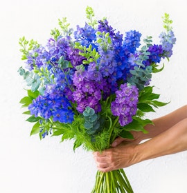 Vibrant bouquet of purple and blue delphiniums with fresh green foliage, ideal for celebrations.