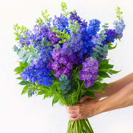 Vibrant bouquet of purple and blue delphiniums with fresh green foliage, ideal for celebrations.