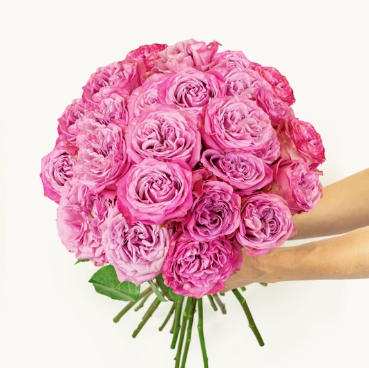Vibrant pink rose bouquet held by a hand, perfect for gifts and special occasions.
