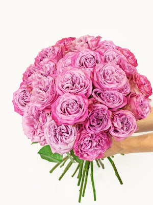 Vibrant pink rose bouquet held in hands, perfect for expressing love and celebration.