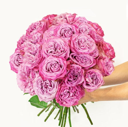Vibrant pink rose bouquet held in hands, perfect for expressing love and celebration.