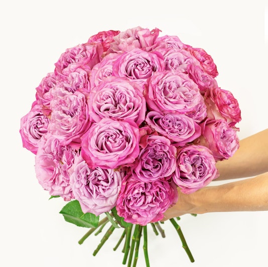 Vibrant pink rose bouquet held in hands, perfect for expressing love and celebration.