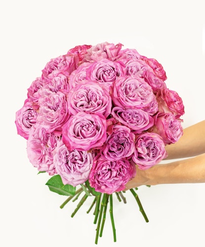 Vibrant pink rose bouquet held in hands, perfect for expressing love and celebration.