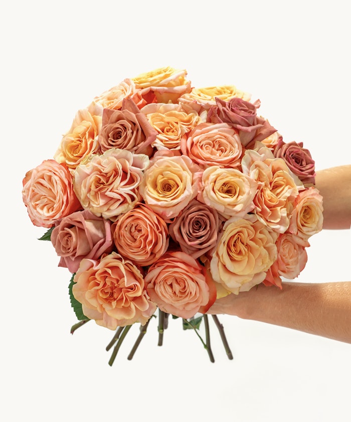 Vibrant bouquet of pastel roses in peach, pink, and cream tones, perfect for celebrations.