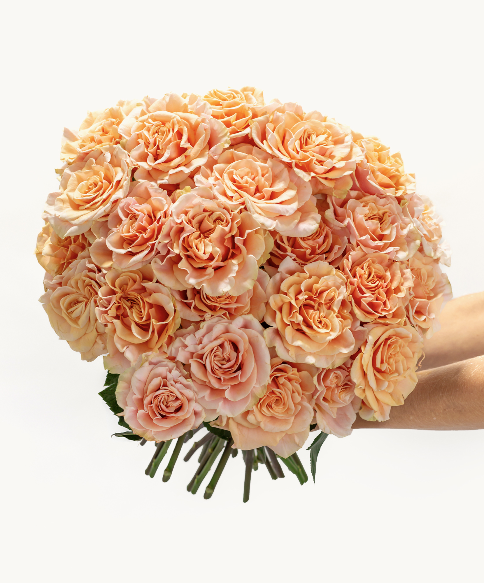 A stunning bouquet of soft peach roses, perfect for gifting, celebrations, or home decor.