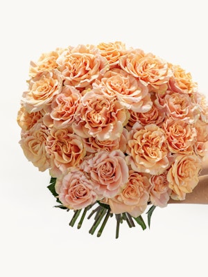A stunning bouquet of soft peach roses, perfect for gifting, celebrations, or home decor.