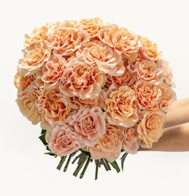 A stunning bouquet of soft peach roses, perfect for gifting, celebrations, or home decor.
