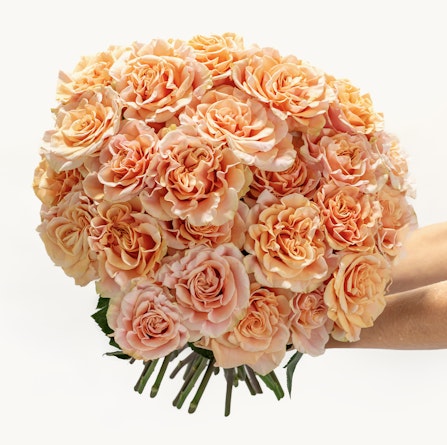 A stunning bouquet of soft peach roses, perfect for gifting, celebrations, or home decor.