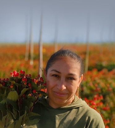 A woman standing in a vibrant field of flowers, holding a bouquet of roses.