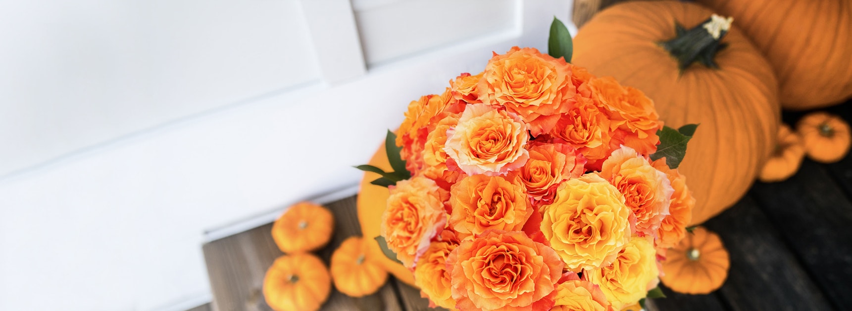 Bright orange roses in a stunning bouquet, complemented by vibrant autumn pumpkins.